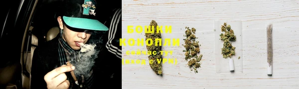 кокс Осташков
