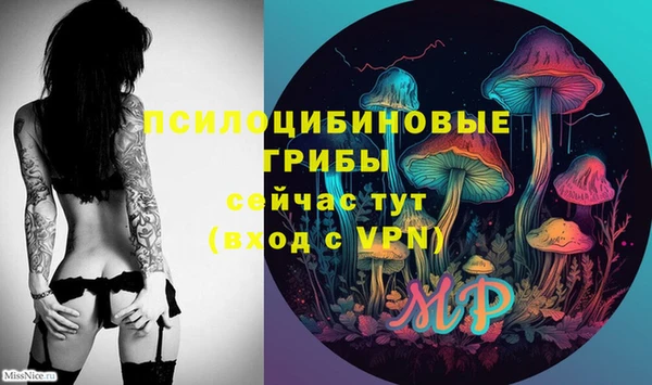 кокс Осташков
